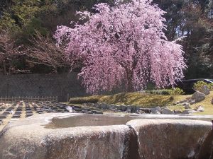 桜下庭園樹木葬
