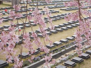 桜下庭園樹木葬